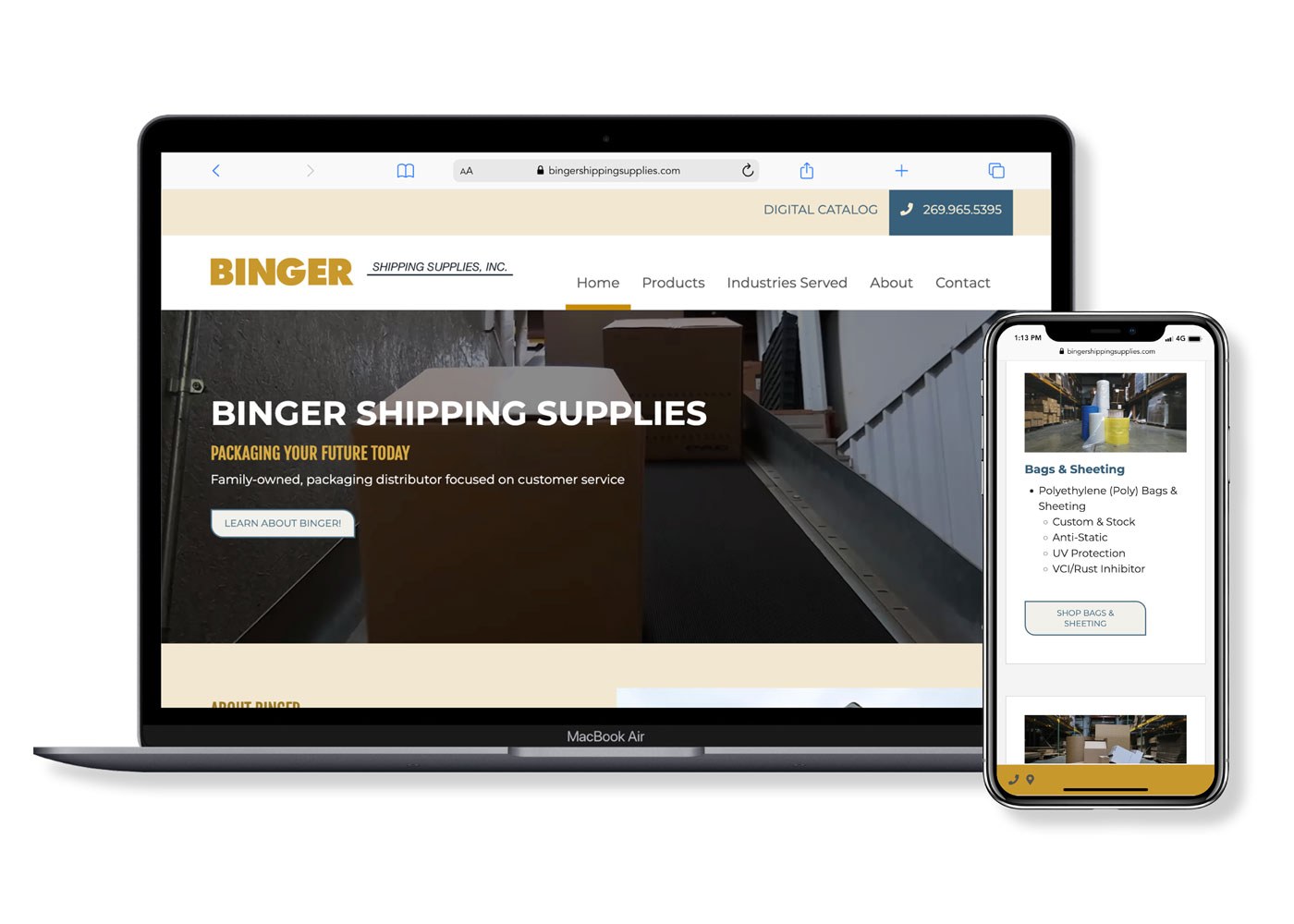 Binger Web Portfolio Images website